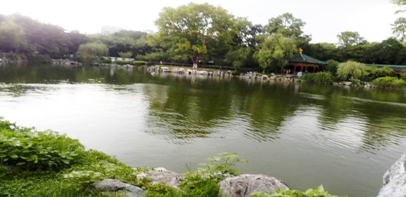 江西省南昌市人民公园景观湖水治理项目